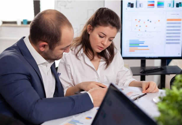 A Glimpse into the Life of an Auditor