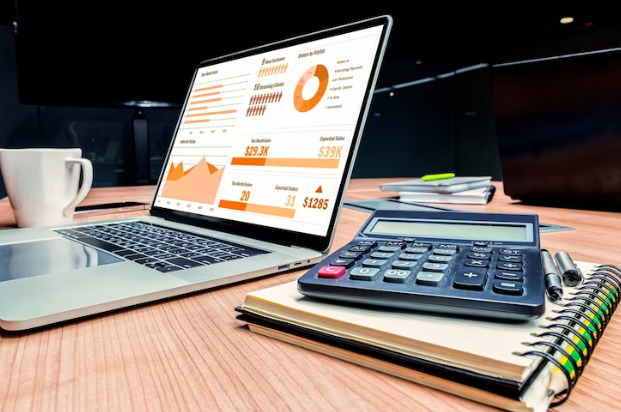 Navigating Your First Year in Public Accounting Audit: Insights and Expectations