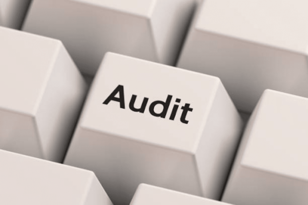 Navigating Your Career Path in Accounting: Deciding Between Tax and Audit