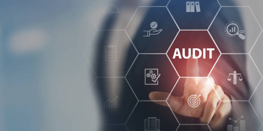 Navigating Your First Year in Public Accounting Audit: A Comprehensive Guide